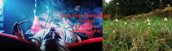стаф Медвежьегорск