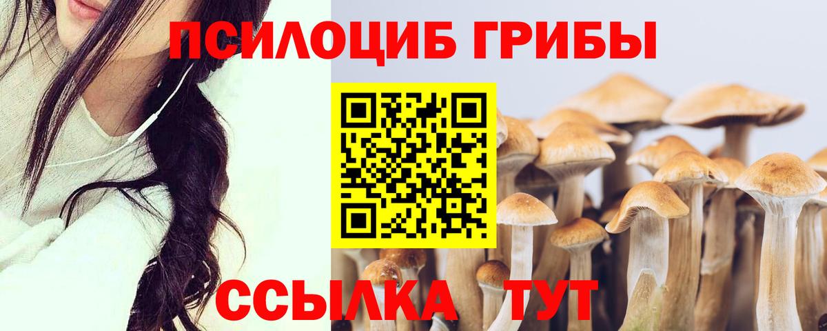 Выкса  Псилоцибиновые грибы мицелий  Вход с VPN 