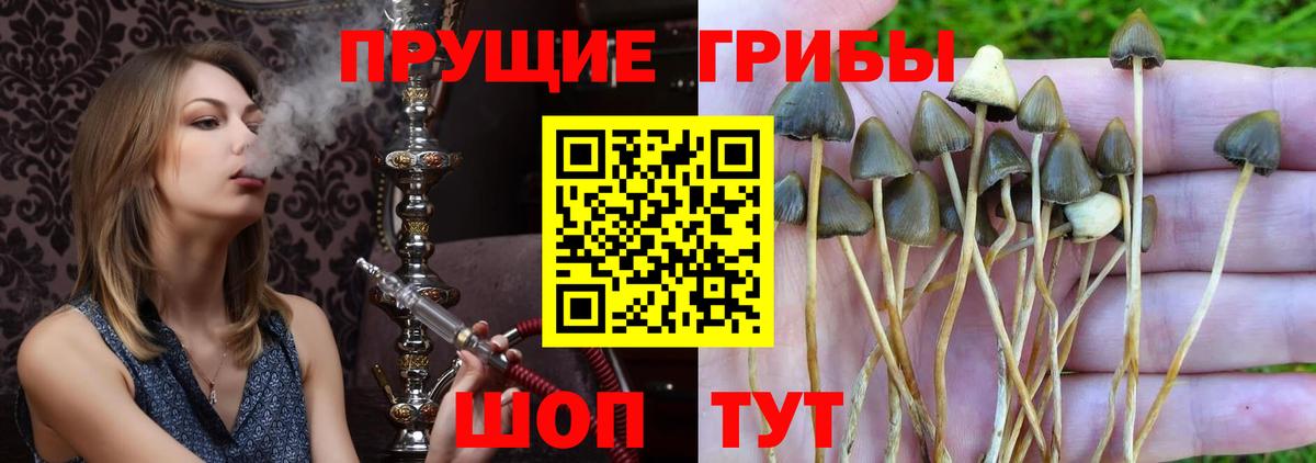 Псилоцибиновые грибы Magic Shrooms Выкса