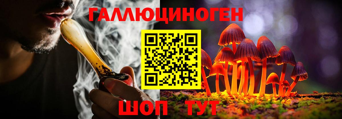 Галлюциногенные грибы Psilocybine cubensis Выкса